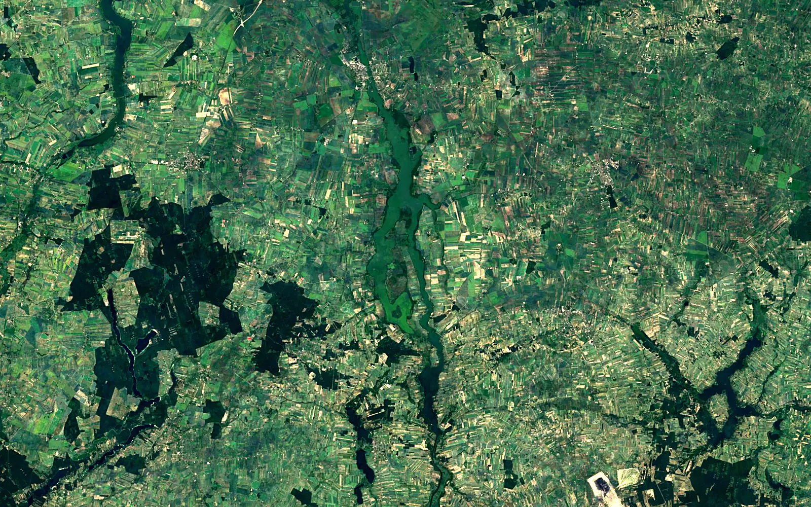 Gopło seen from space (Sentinel-2)