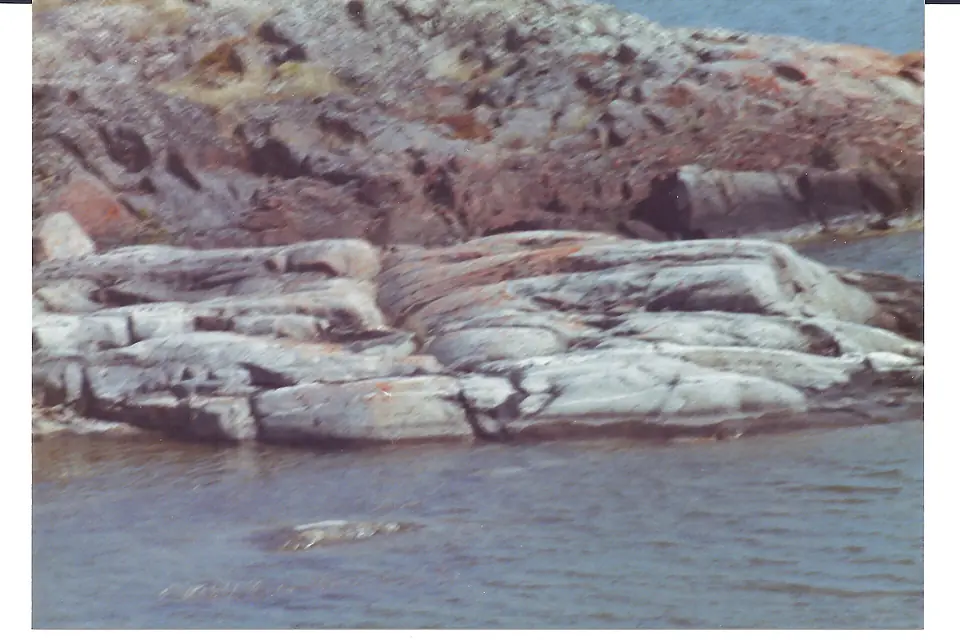 Sideways view (but somewhat blurry view) of roches moutonnees at Great Slave Lake, Nunavut, Canada