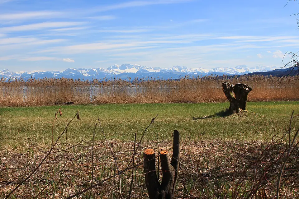 Am Greifensee