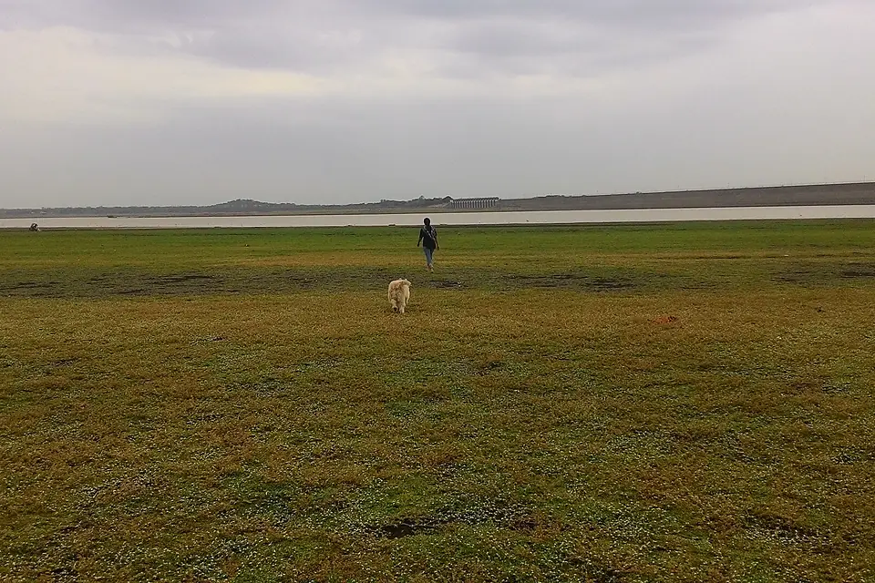 Landscape near a lake