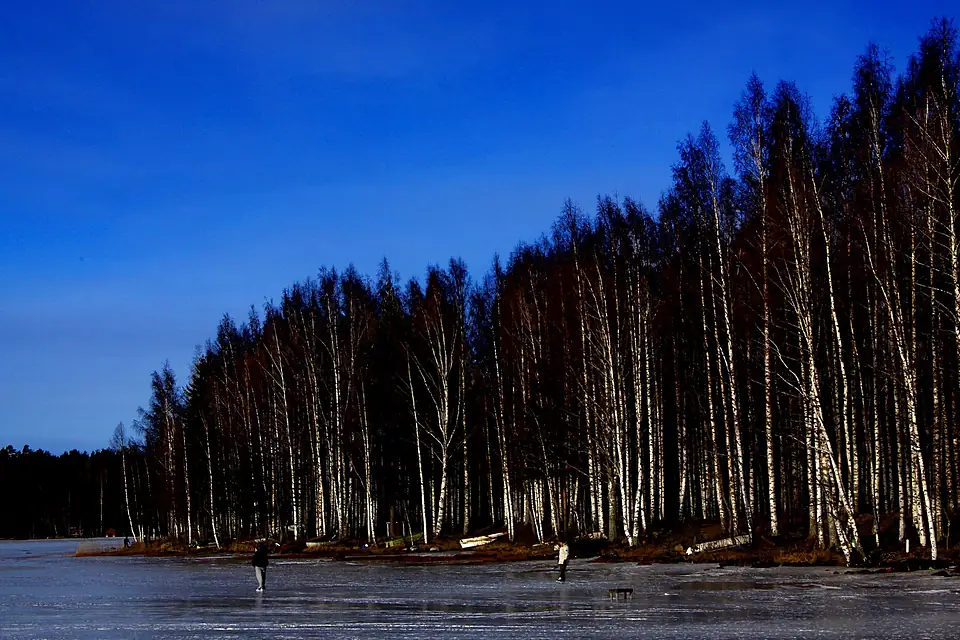 Finland 2013-03-16 (13374407463)