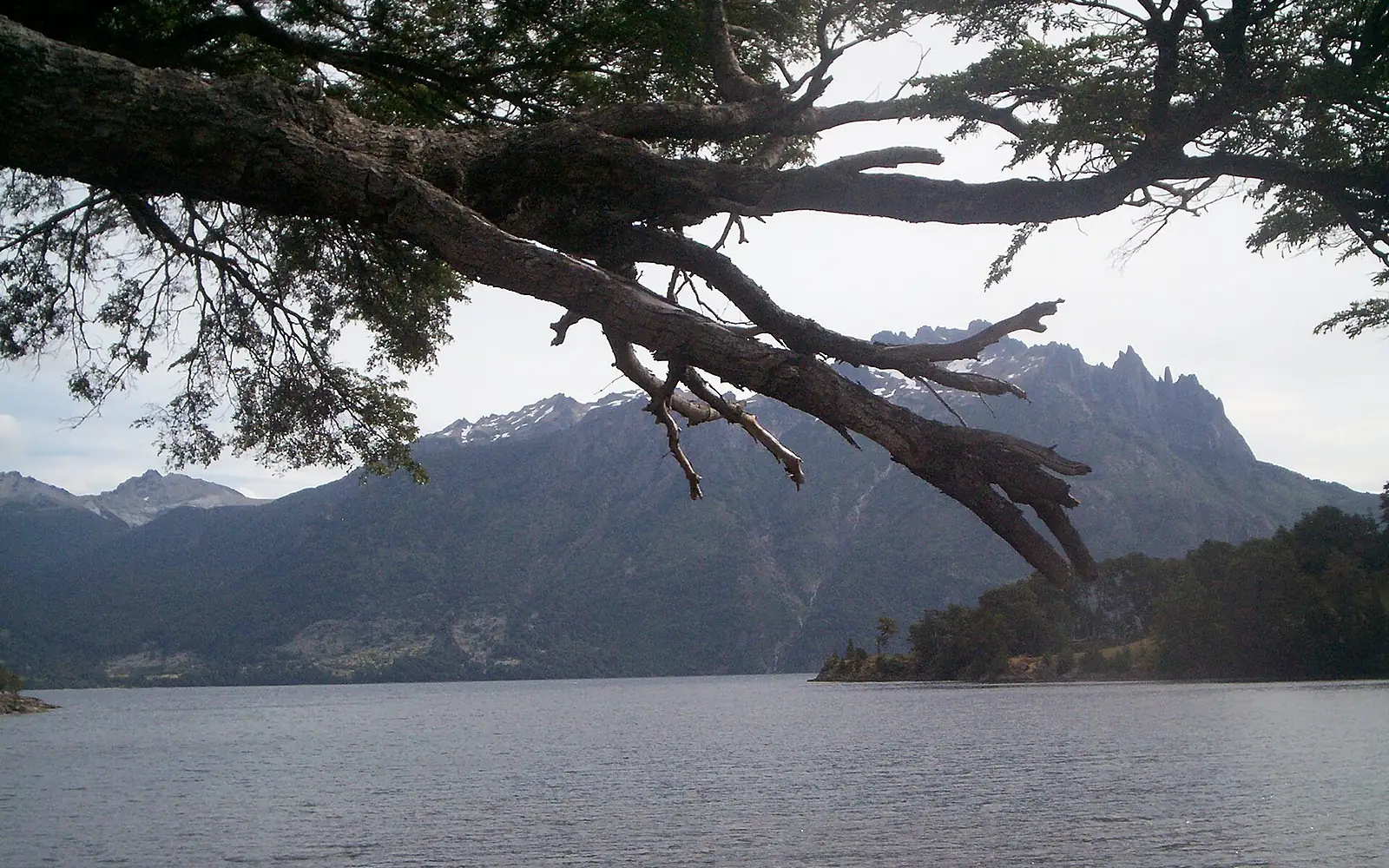 Lago huechulafquen bahia cañicul