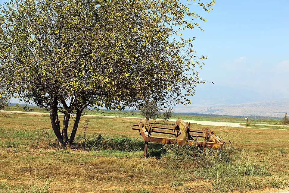 Israel Hula Lake (8112522471)