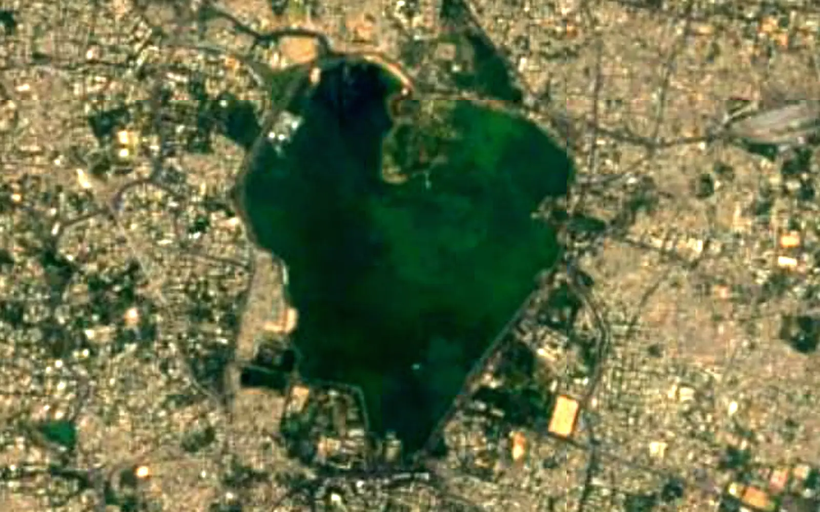 Hussain Sagar seen from space (Sentinel-2)