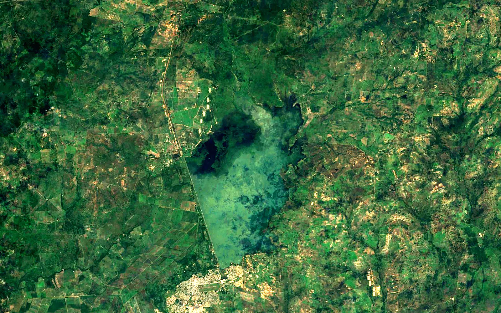 Ing. Generoso Campilongo Reservoir seen from space (Sentinel-2)