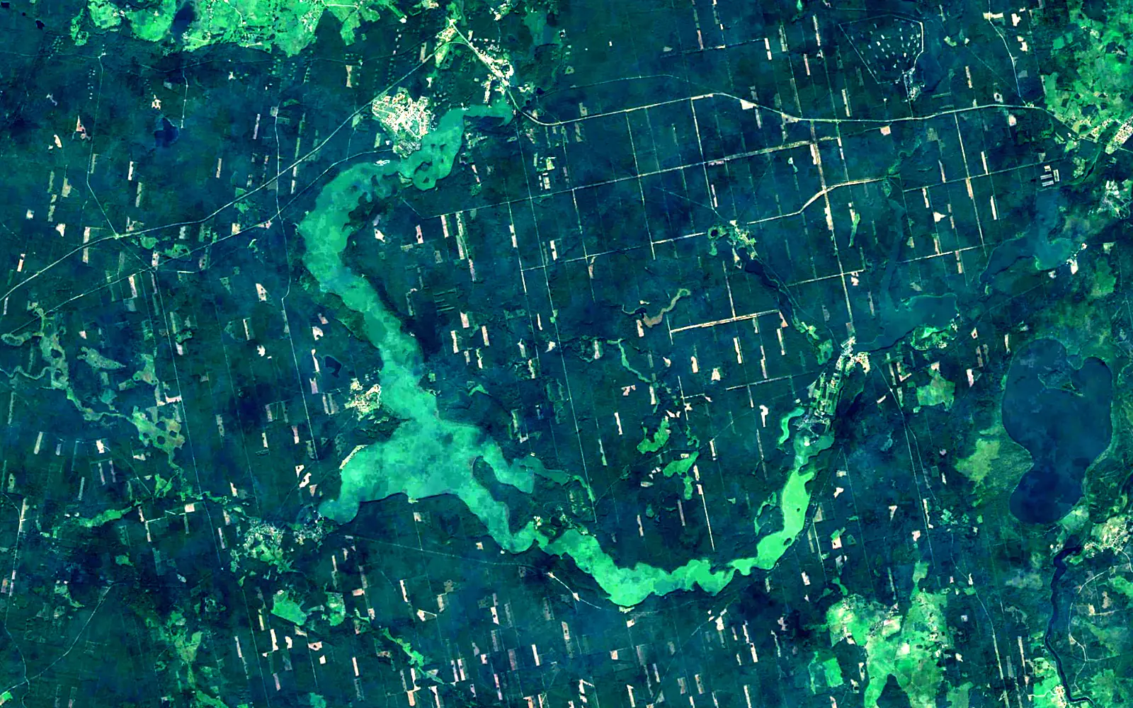 Jezioro Nidzkie seen from space (Sentinel-2)