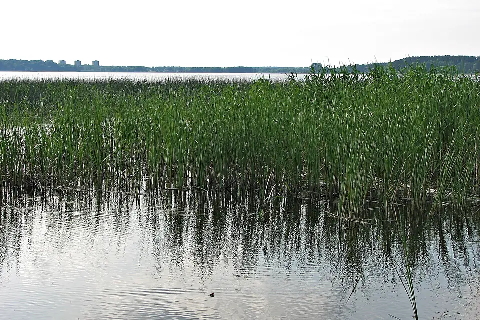 Lake of Jugla