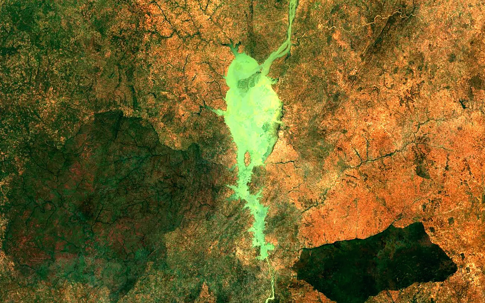 Kainji Lake seen from space (Sentinel-2)