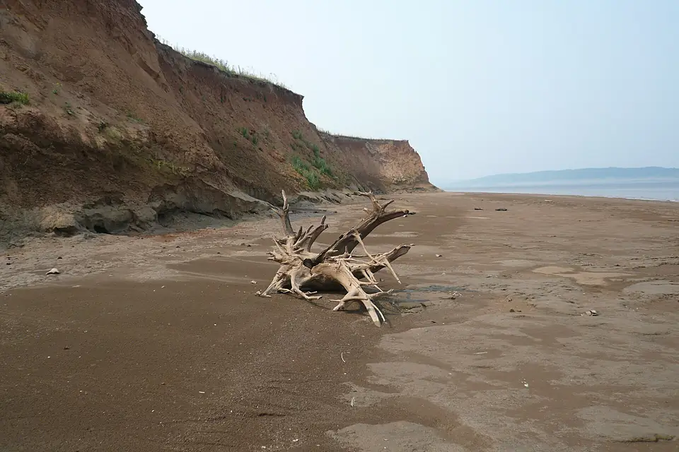 Beach Kama reservoir.Берег Камского водохранилища - panoramio (2)