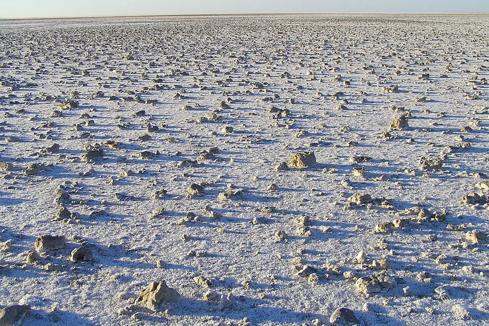 Lake Eyre 2004 - panoramio (1)