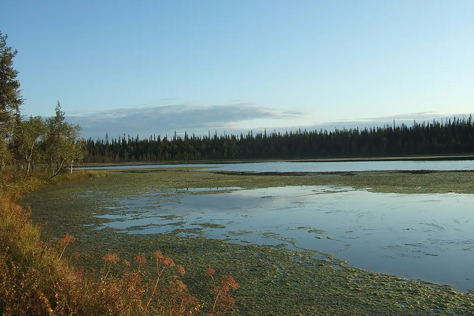 Kemijärviaintzira