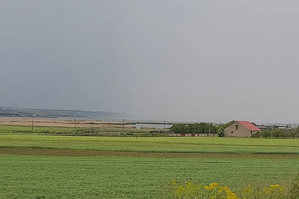 Blonske 06