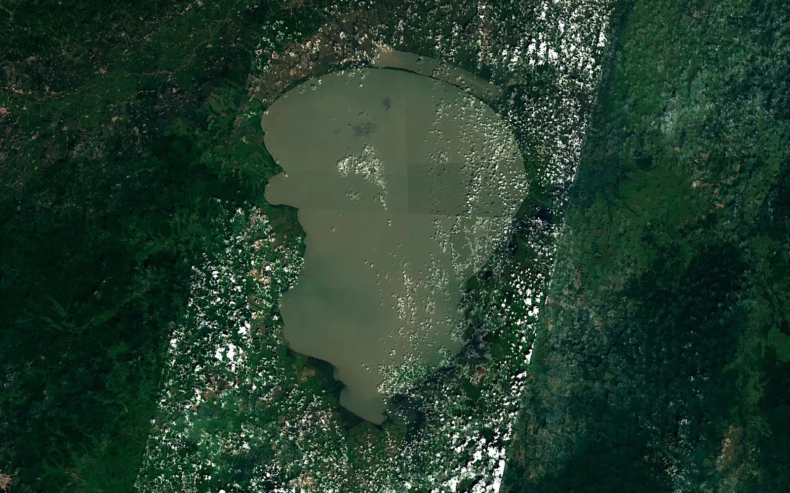 Khanka seen from space (Sentinel-2)