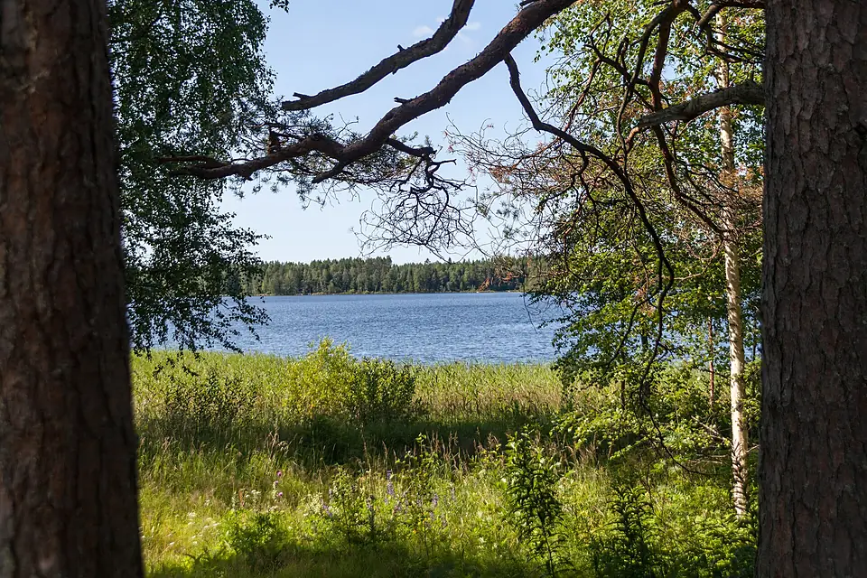 Central Finland, Finland - panoramio (10)