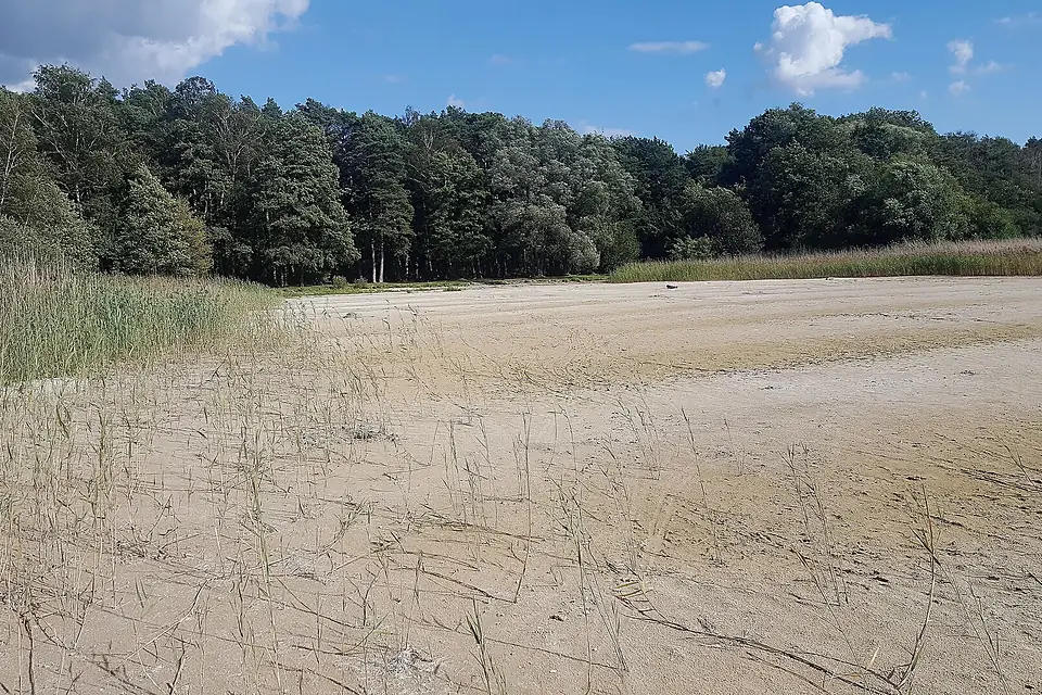 20190902.Wisentgehege Damerow.-022