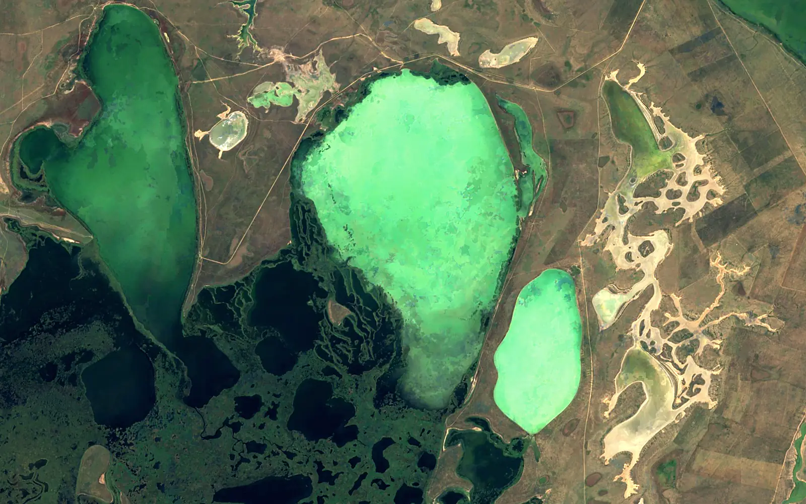 Korgalzhyn seen from space (Sentinel-2)