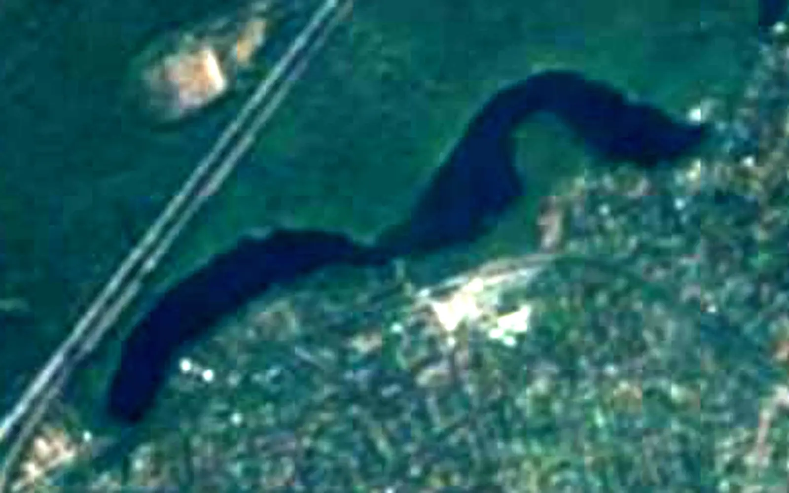 Krumme Lanke seen from space (Sentinel-2)