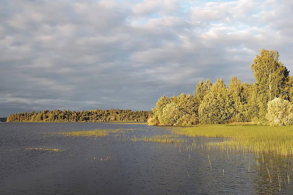 Ikaalinen - lake and forest