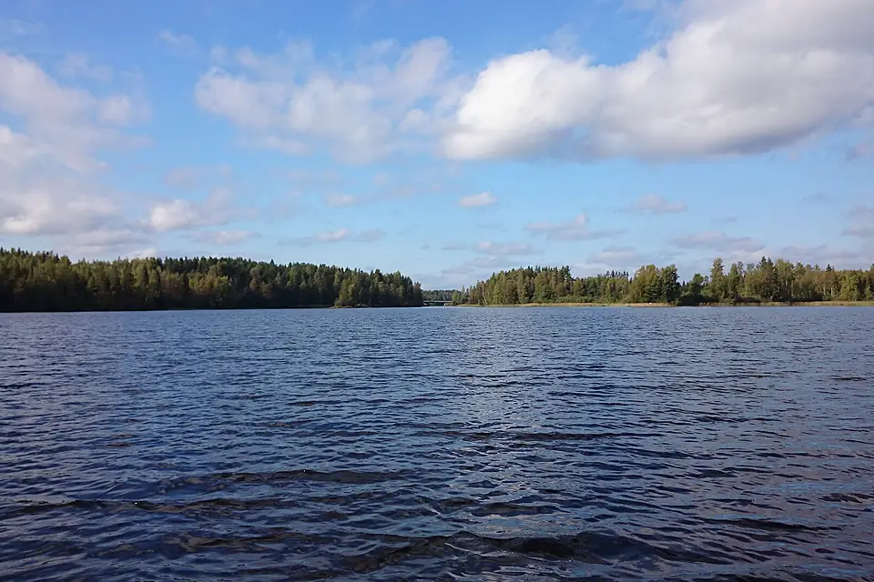 Jousselkä