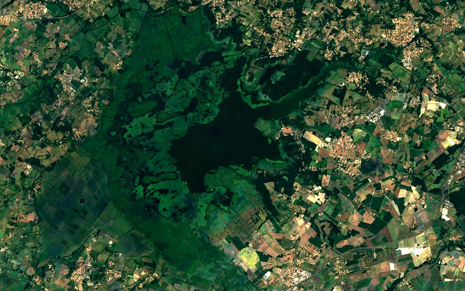 Lac de Grand-Lieu seen from space (Sentinel-2)