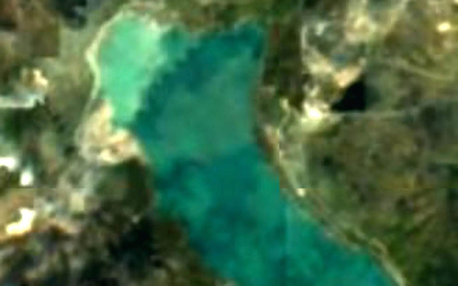 Lago Bianco seen from space (Sentinel-2)