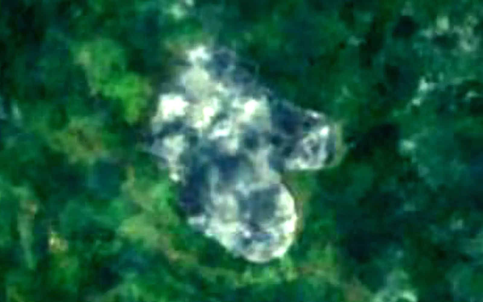 Lago Cote seen from space (Sentinel-2)