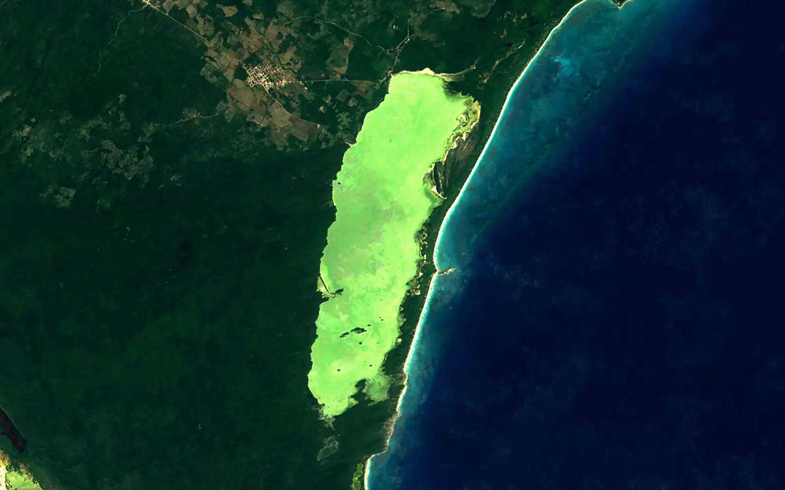 Lago de Oviedo seen from space (Sentinel-2)