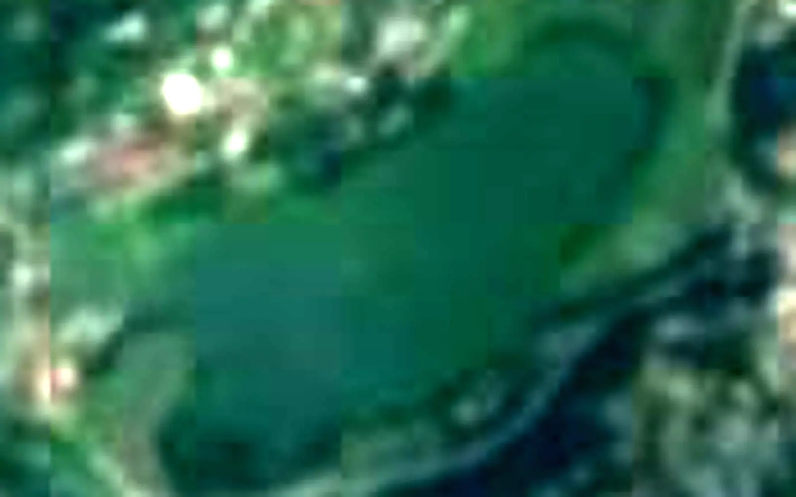 Lago di Muzzano seen from space (Sentinel-2)