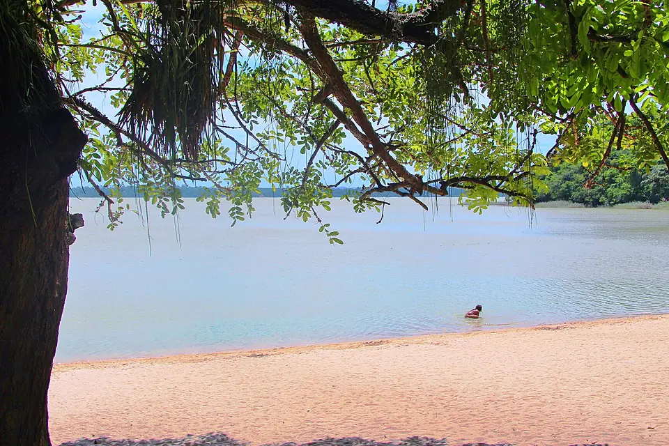 Lagoa Juparanã - Linhares-ES - panoramio