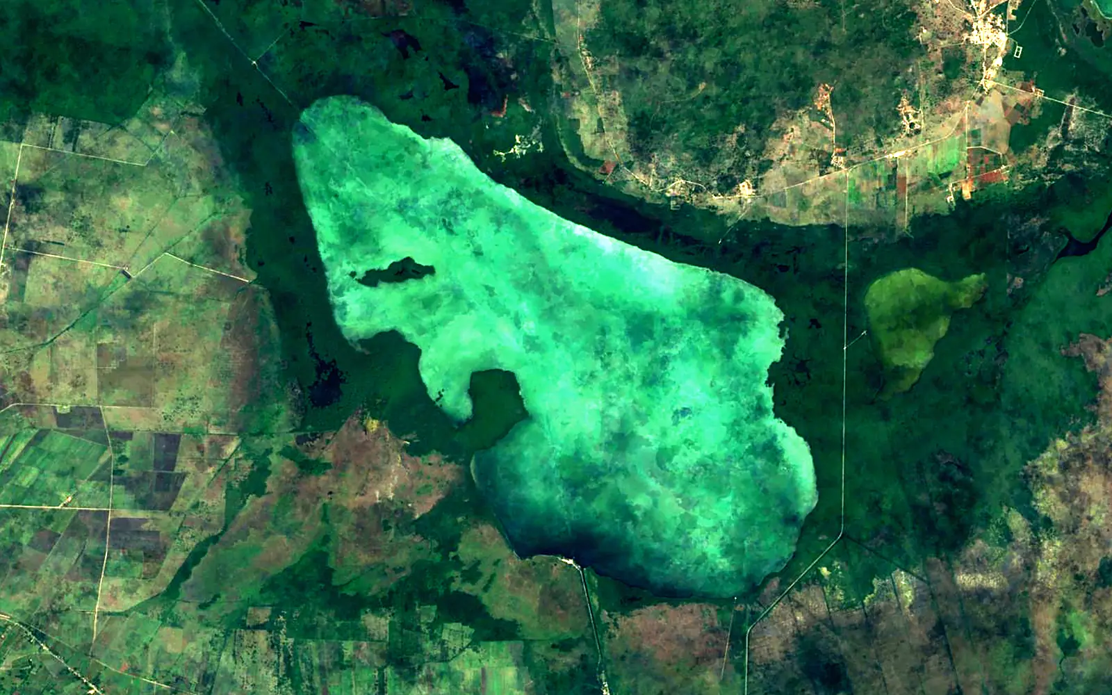 Laguna de Leche seen from space (Sentinel-2)