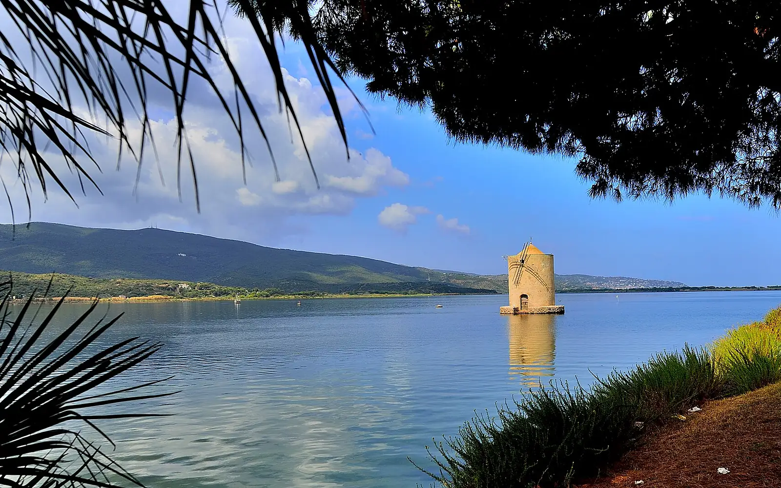 2016-08-11 Riserva naturale Laguna di Orbetello di Ponente 02