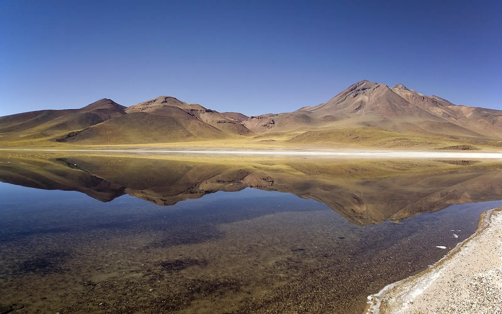 Laguna Miscanti (Antofagasta, Chile) 03