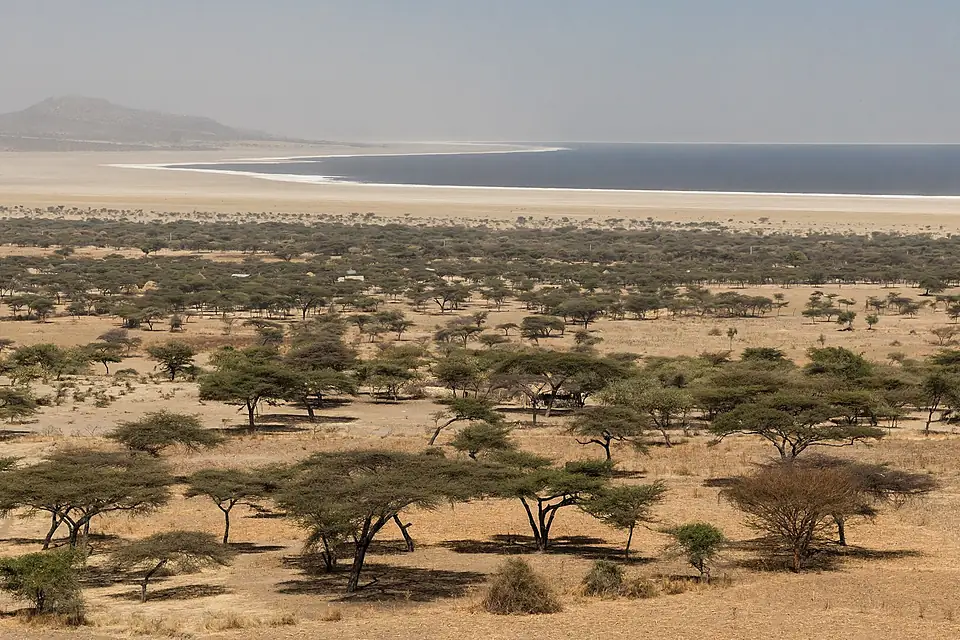 Abijatta-Shalla National Park in Ethiopia 02