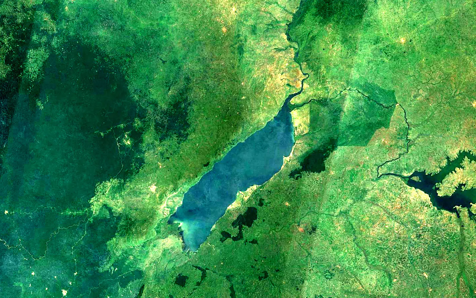 Lake Albert seen from space (Sentinel-2)