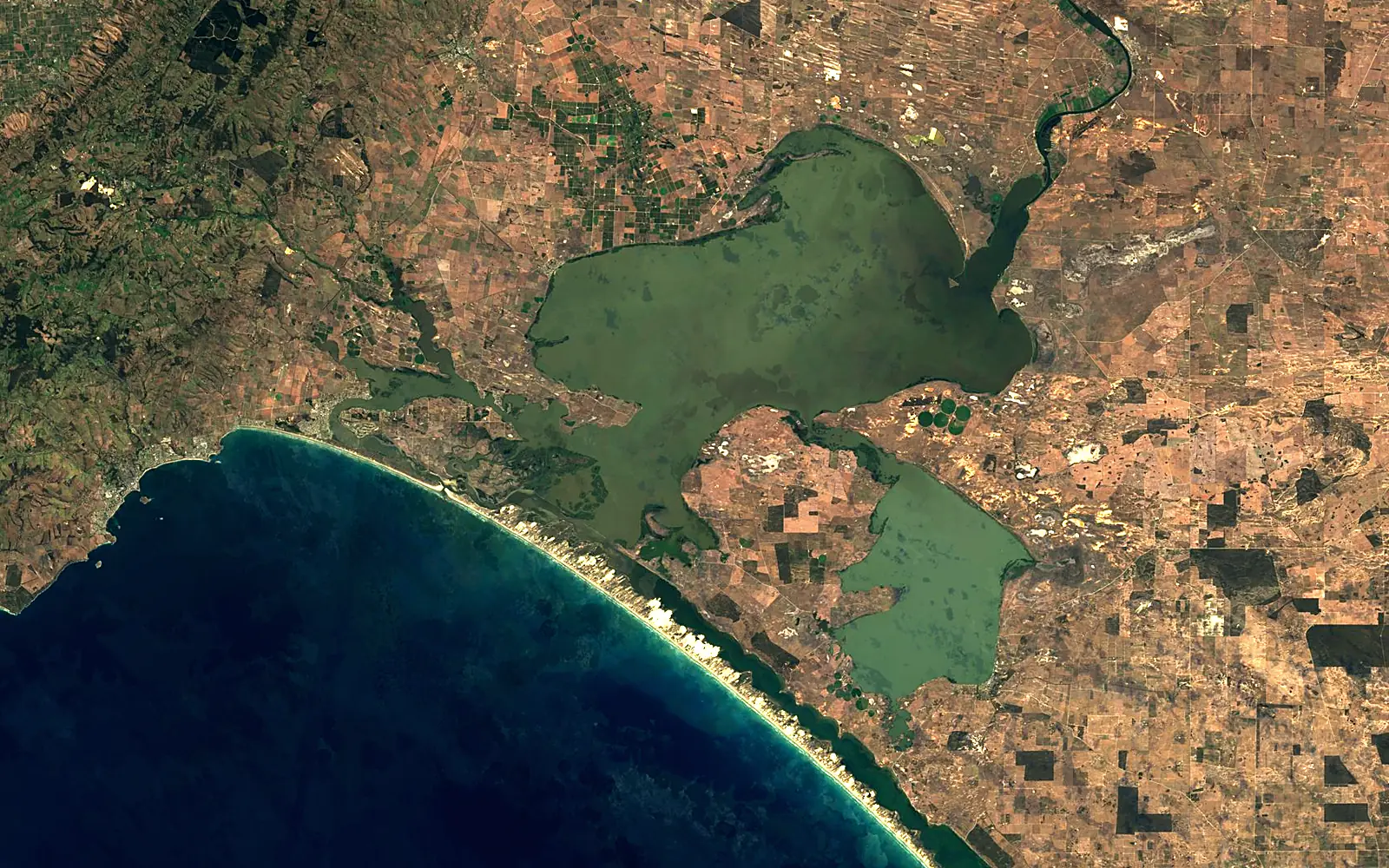 Lake Alexandrina seen from space (Sentinel-2)