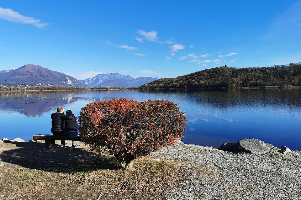 Alserio - Lago Alserio