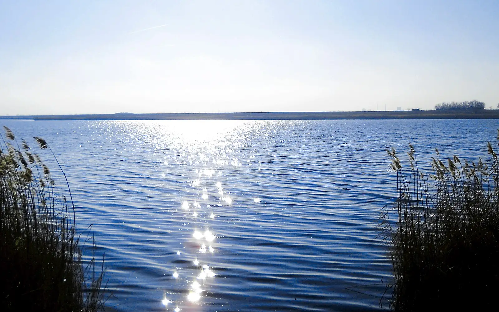 Lacul Amara
