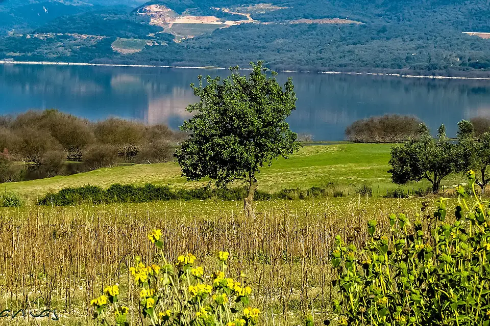 Amvrakia lake