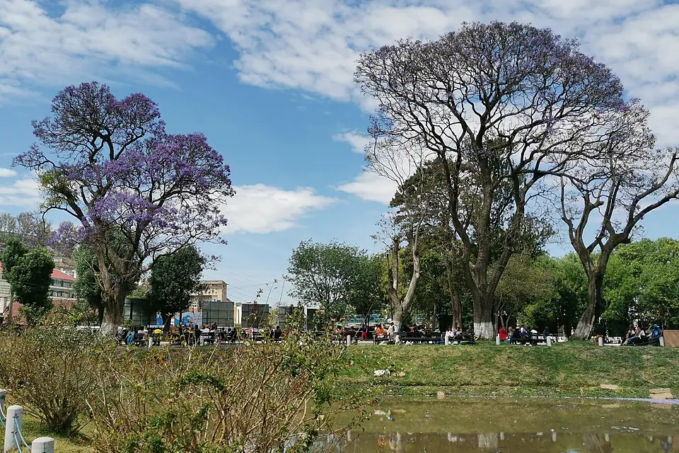 Lac anosy Antananarivo 2019-10-02 10