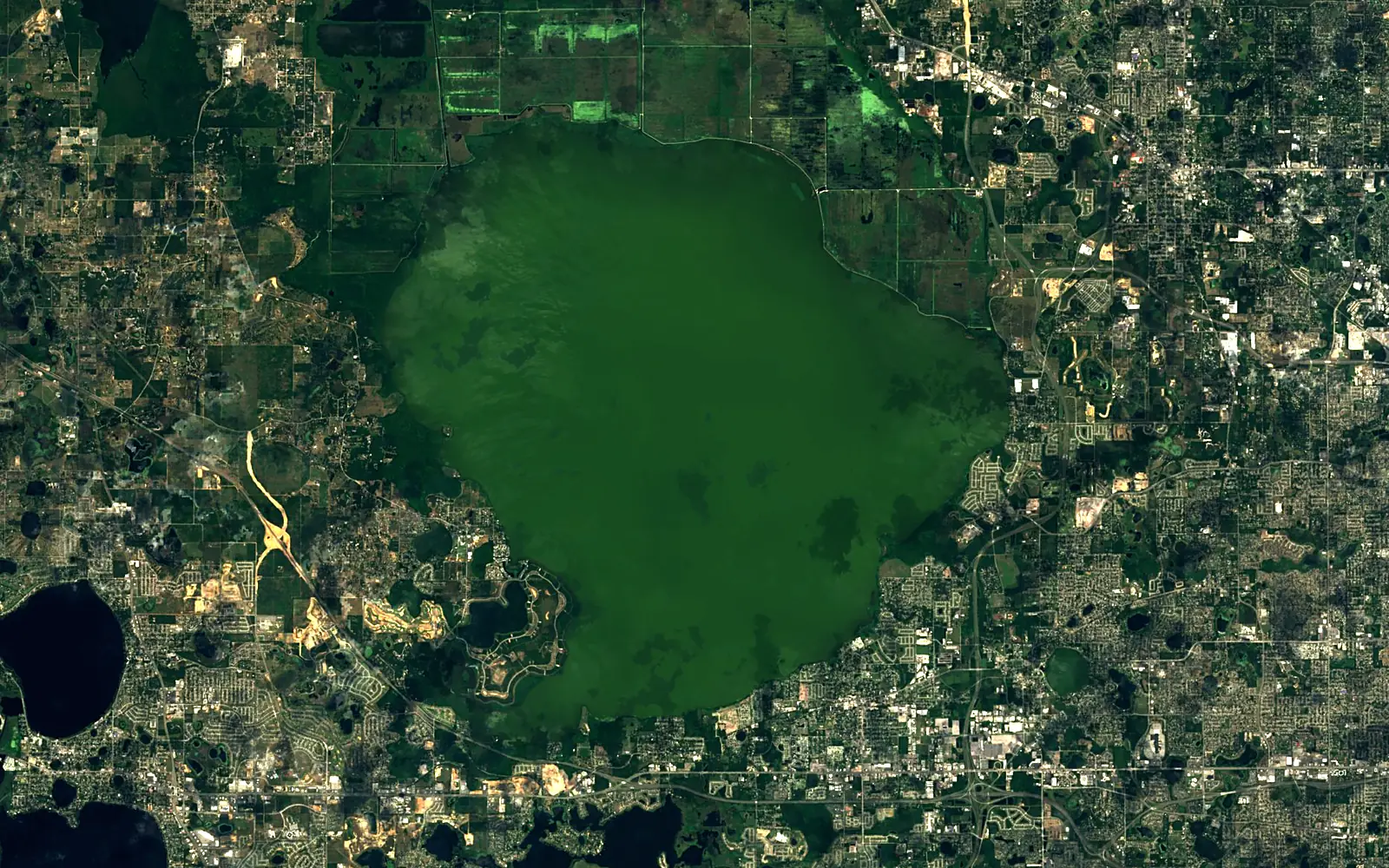 Lake Apopka seen from space (Sentinel-2)