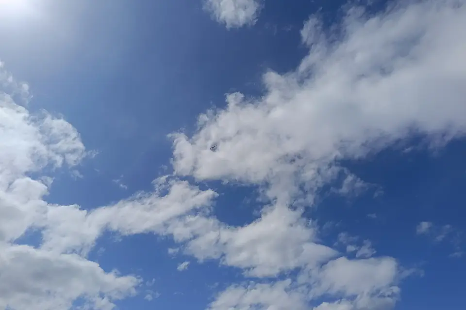 Armenian gulls in the sky of Arpi lake (10)