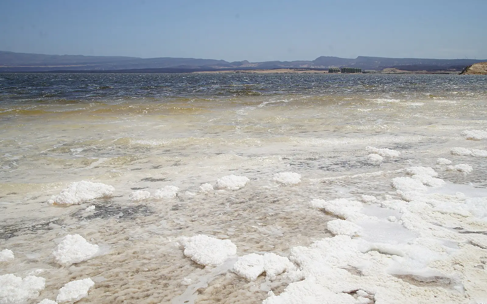 Assal Lake, 2024