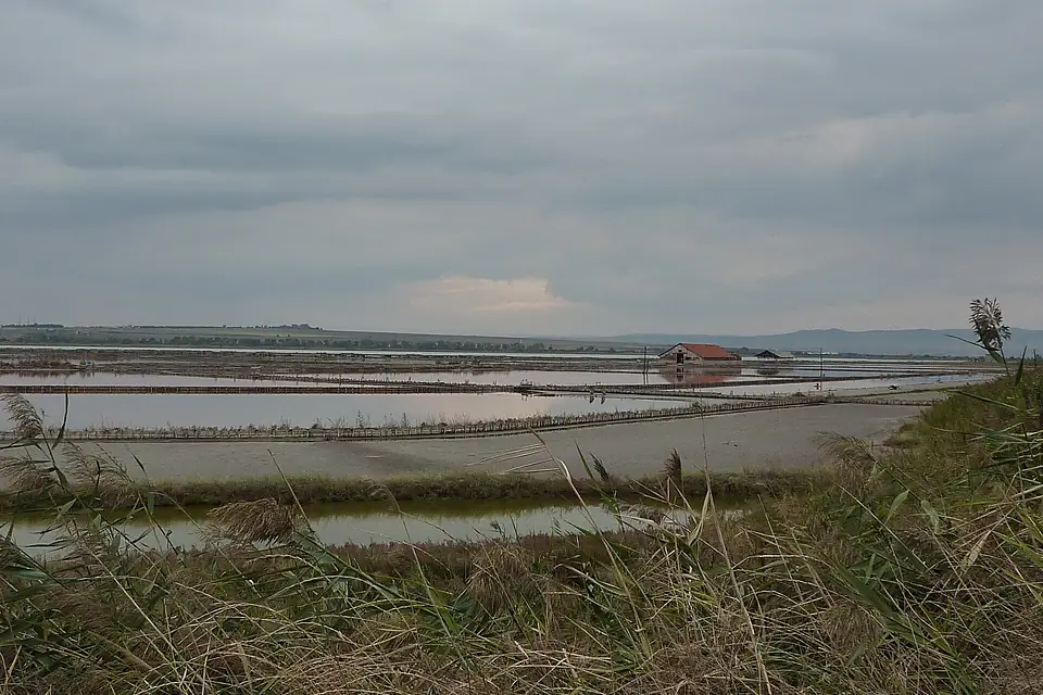 Atanasovsko Lake - rail tracks - P1020295