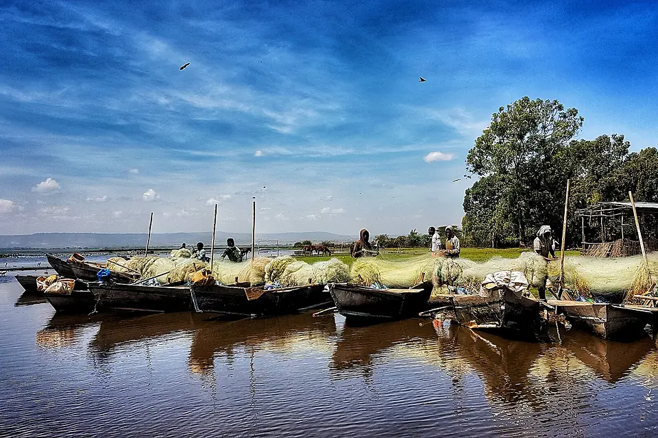 Fishing Boats In Lake Hawassa