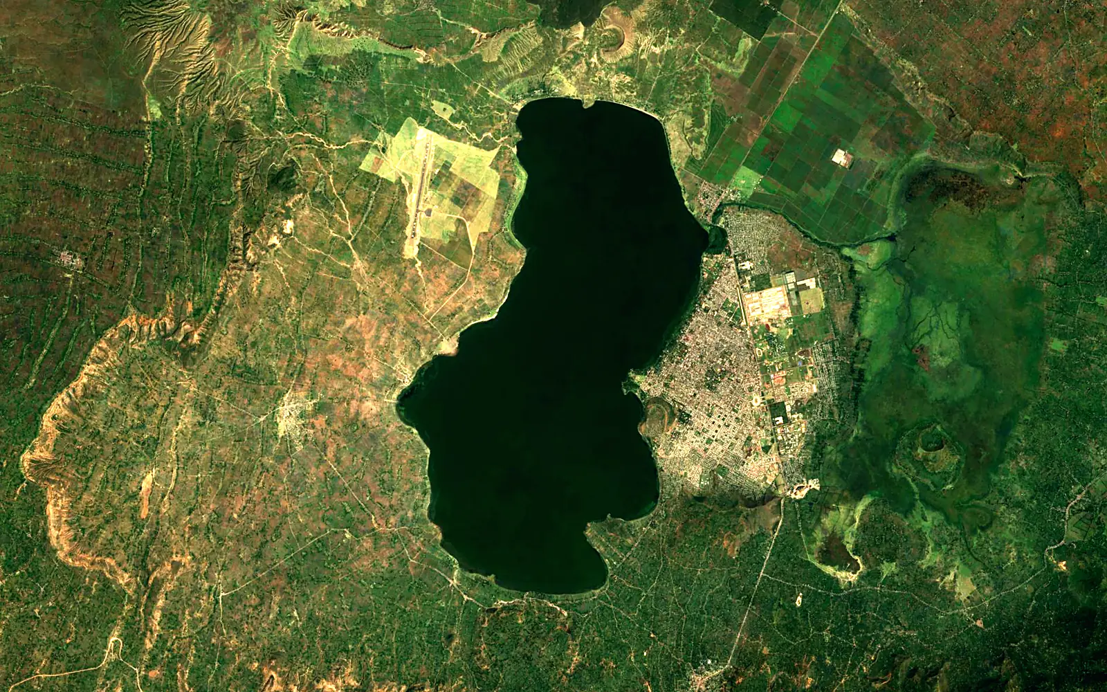 Lake Awasa seen from space (Sentinel-2)