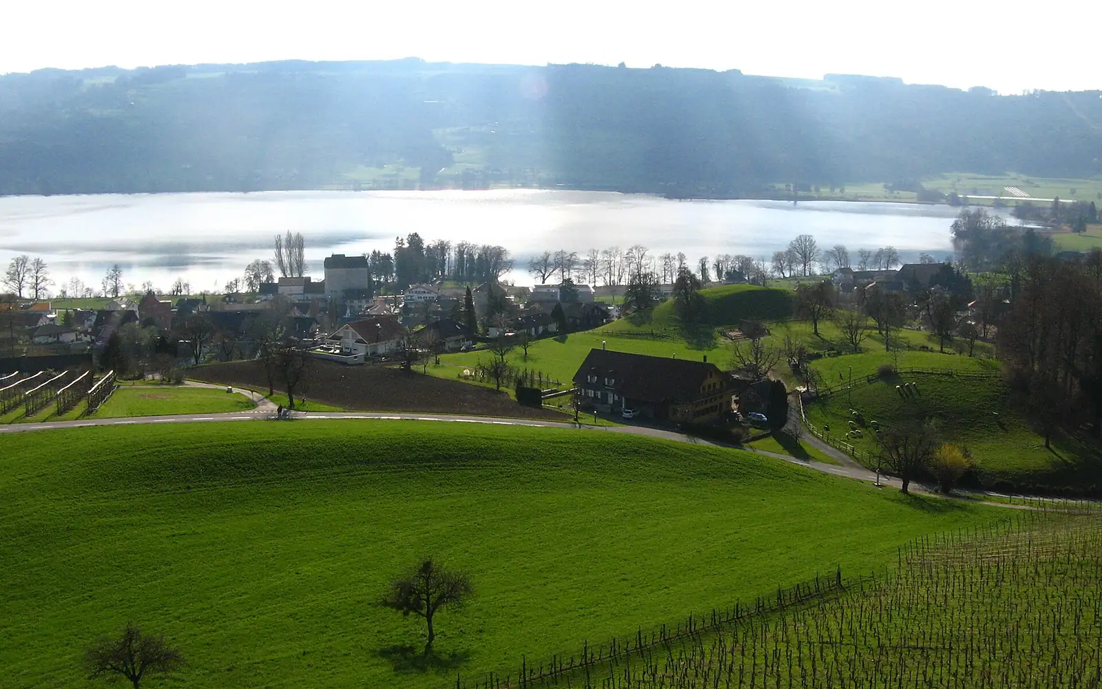 1023L BaldeggerSee