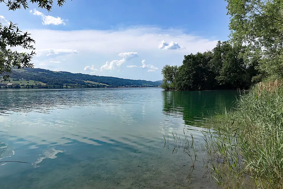 Baldeggersee bei Baldegg (01)
