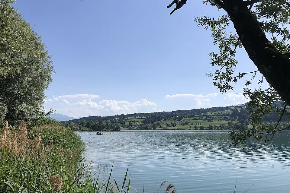 Baldeggersee bei Baldegg (02)