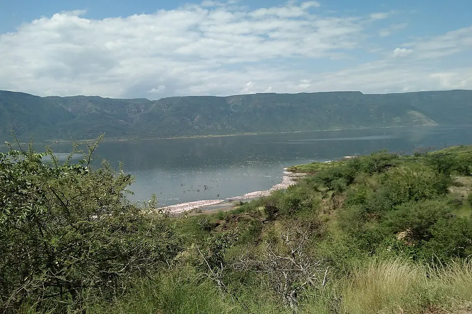 Lake Baringo 10
