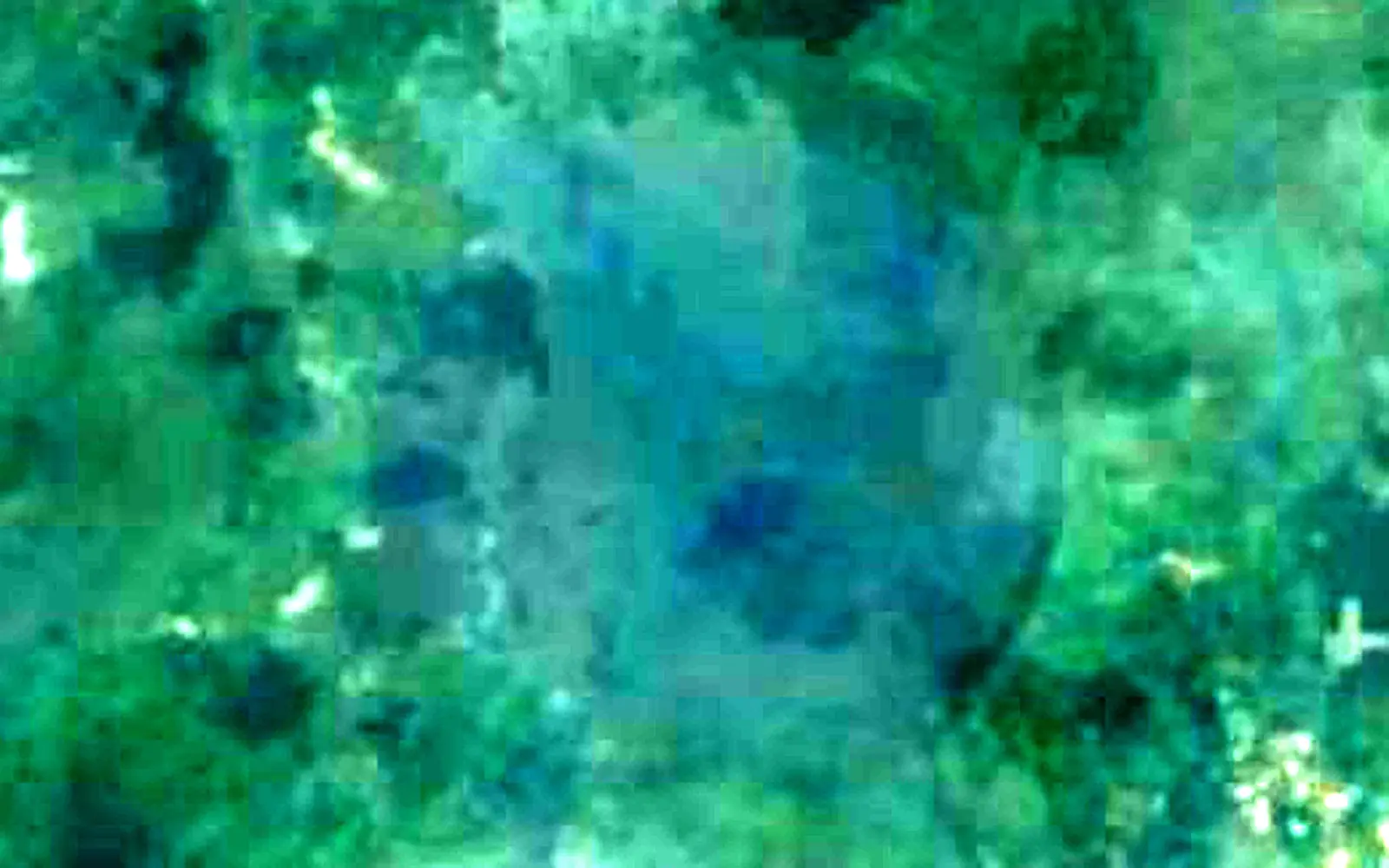 Lake Barombi Mbo seen from space (Sentinel-2)